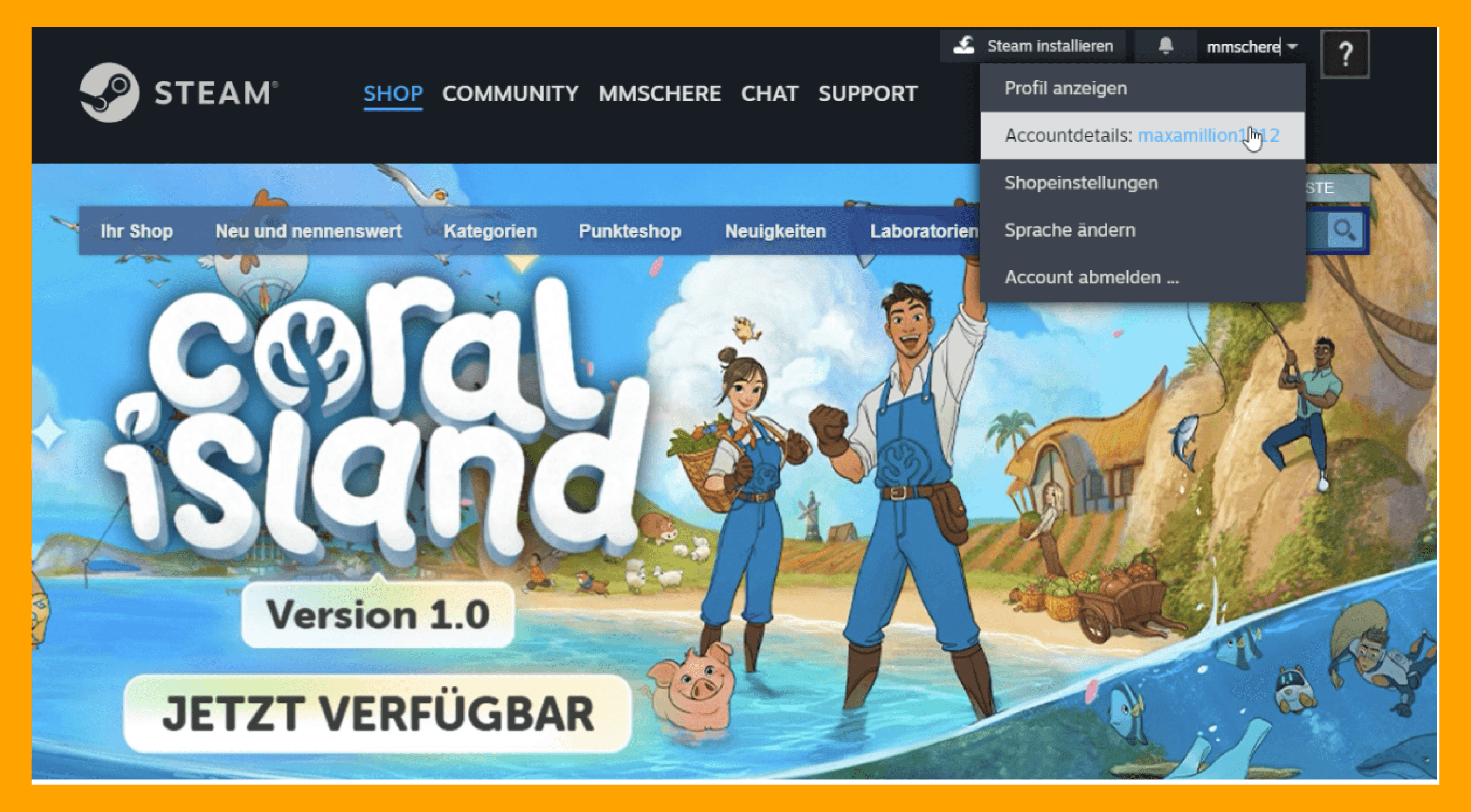Accountdetails steam